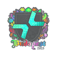 Sticker | PARIVISION (Holo) | Budapest 2025