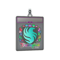 Sticker Slab | Falcons (Holo) | Budapest 2025