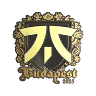 Sticker | fnatic (Gold) | Budapest 2025