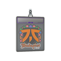 Sticker Slab | fnatic (Embroidered) | Budapest 2025