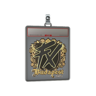 Sticker Slab | Fluxo (Gold) | Budapest 2025