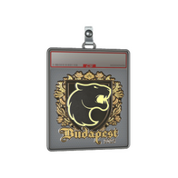 Sticker Slab | FURIA (Gold) | Budapest 2025