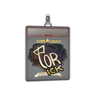 Sticker Slab | t0rick (Gold) | Berlin 2019