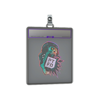 Sticker Slab | PTFO (Holo)
