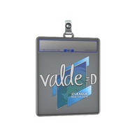 Sticker Slab | v4lde | Boston 2018