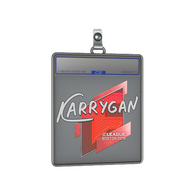 Sticker Slab | karrigan | Boston 2018