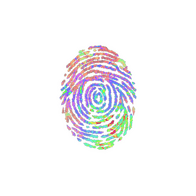 Sticker | Evidence (Holo)