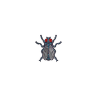 Sticker | Fruit Fly (Foil)