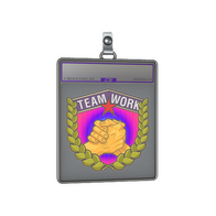 Sticker Slab | Teamwork (Holo)