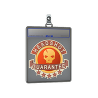 Sticker Slab | Headshot Guarantee