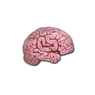 Sticker | CS On The Mind