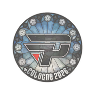 Sticker | paiN Gaming | Cologne 2026