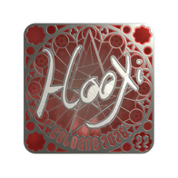 Sticker | HooXi (Foil, Ranked) | Cologne 2026