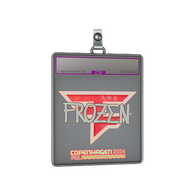 Sticker Slab | frozen (Holo) | Copenhagen 2024
