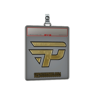 Sticker Slab | paiN Gaming (Gold) | Copenhagen 2024