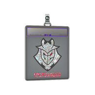 Sticker Slab | G2 Esports (Glitter) | Copenhagen 2024