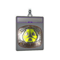 Sticker Slab | M80 (Foil) | Austin 2025