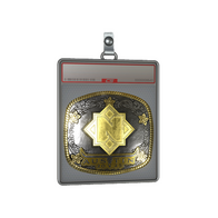 Sticker Slab | Nemiga (Gold) | Austin 2025