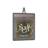 Sticker Slab | tN1R (Gold) | Austin 2025