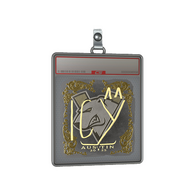 Sticker Slab | ICY (Gold) | Austin 2025