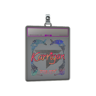 Sticker Slab | karrigan (Holo) | Austin 2025