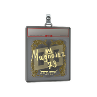 Sticker Slab | Magnojez (Gold) | Austin 2025