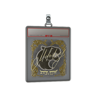 Sticker Slab | molodoy (Gold) | Austin 2025