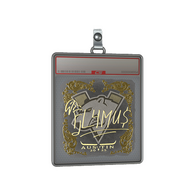Sticker Slab | FL4MUS (Gold) | Austin 2025