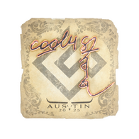 Sticker | cool4st | Austin 2025