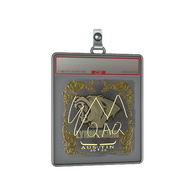 Sticker Slab | EmiliaQAQ (Gold) | Austin 2025