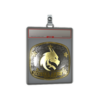 Sticker Slab | Team Spirit (Gold) | Austin 2025