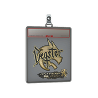 Sticker Slab | degster (Gold) | Antwerp 2022