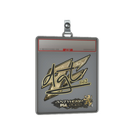 Sticker Slab | dgt (Gold) | Antwerp 2022