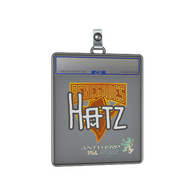 Sticker Slab | hatz | Antwerp 2022