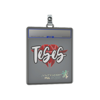 Sticker Slab | TeSeS | Antwerp 2022