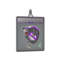 Sticker Slab | Outsiders (Glitter) | Antwerp 2022