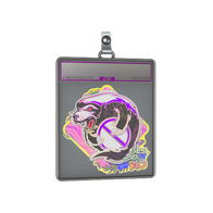 Sticker Slab | Outsiders (Holo) | Rio 2022