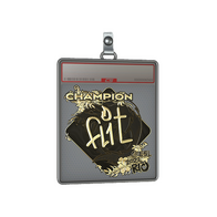 Sticker Slab | FL1T (Gold, Champion) | Rio 2022