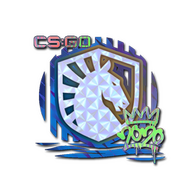Sticker | Liquid (Holo) | 2020 RMR