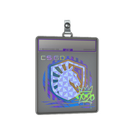Sticker Slab | Liquid (Holo) | 2020 RMR