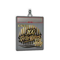 Sticker Slab | 100 Thieves (Gold) | 2020 RMR