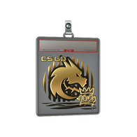 Sticker Slab | Spirit (Gold) | 2020 RMR