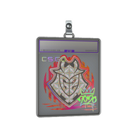 Sticker Slab | G2 (Holo) | 2020 RMR