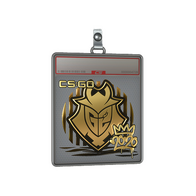 Sticker Slab | G2 (Gold) | 2020 RMR