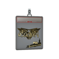 Sticker Slab | cadiaN (Gold) | Stockholm 2021