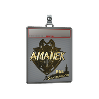 Sticker Slab | AMANEK (Gold) | Stockholm 2021