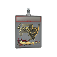 Sticker Slab | somebody (Gold) | Shanghai 2024