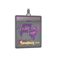 Sticker Slab | somebody (Holo) | Shanghai 2024
