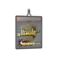 Sticker Slab | ultimate (Gold) | Shanghai 2024