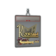 Sticker Slab | kyxsan (Gold) | Shanghai 2024
